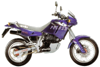 Aprilia Pegaso 650 - 1996